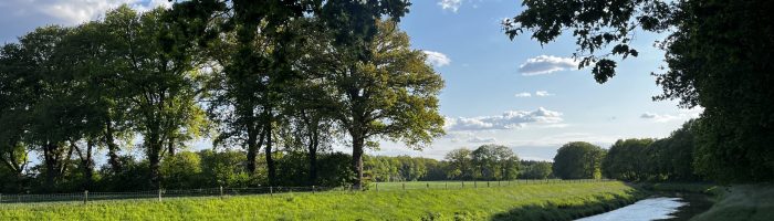 IMG_0813