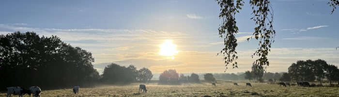 IMG_6255
